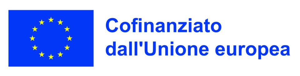 Co-funded by the European Union
