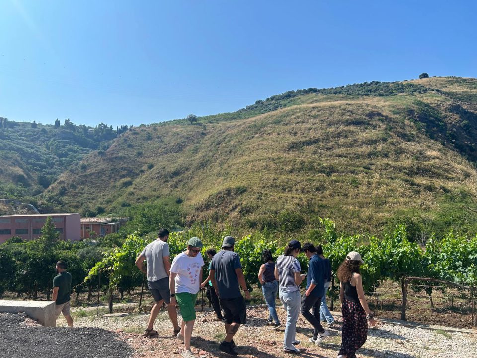 Comunità Sostenibili, activities with young people