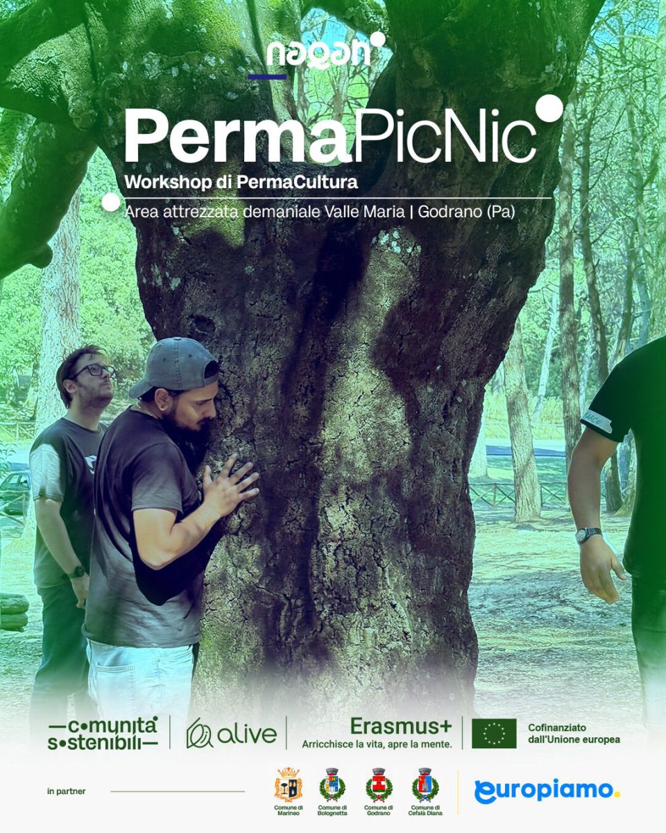 Permaculture picnic