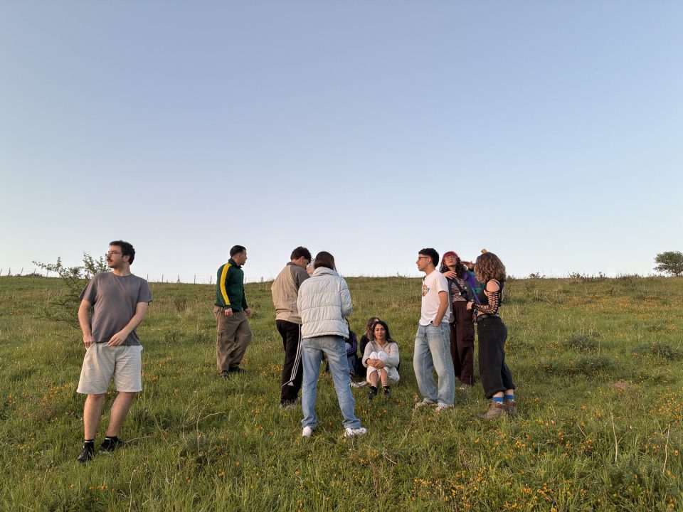 The Sustainable Visions group in the meadows