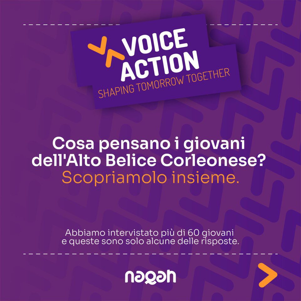Voice Action: the youth survey